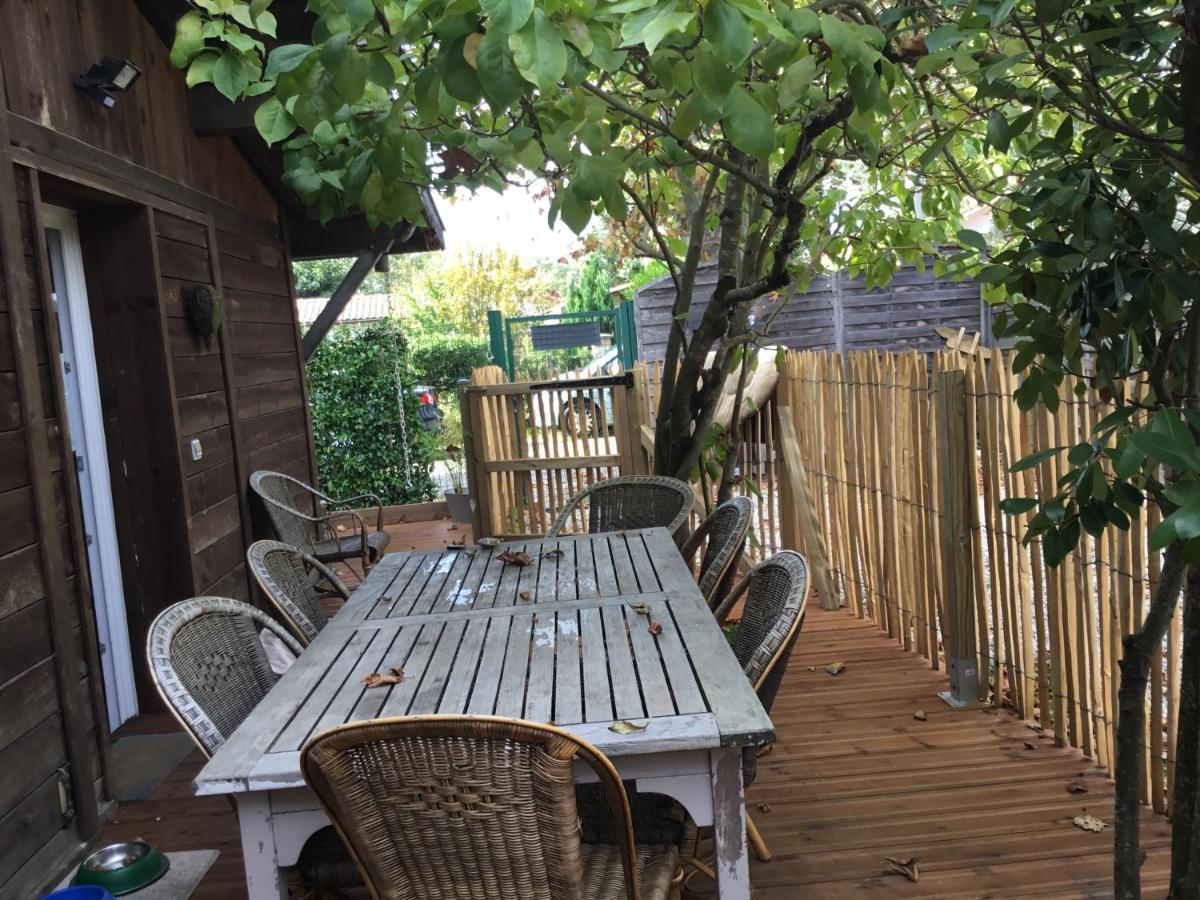 Appartement T3 A Proximite Du Bassin *